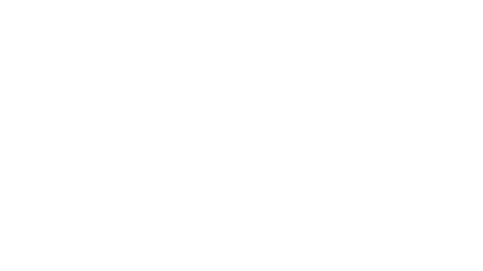 Platinum Lace
